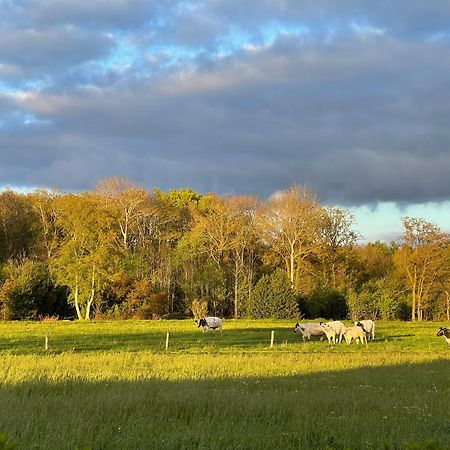 Vakantiehuis Noflik Nijemirdum Exteriér fotografie