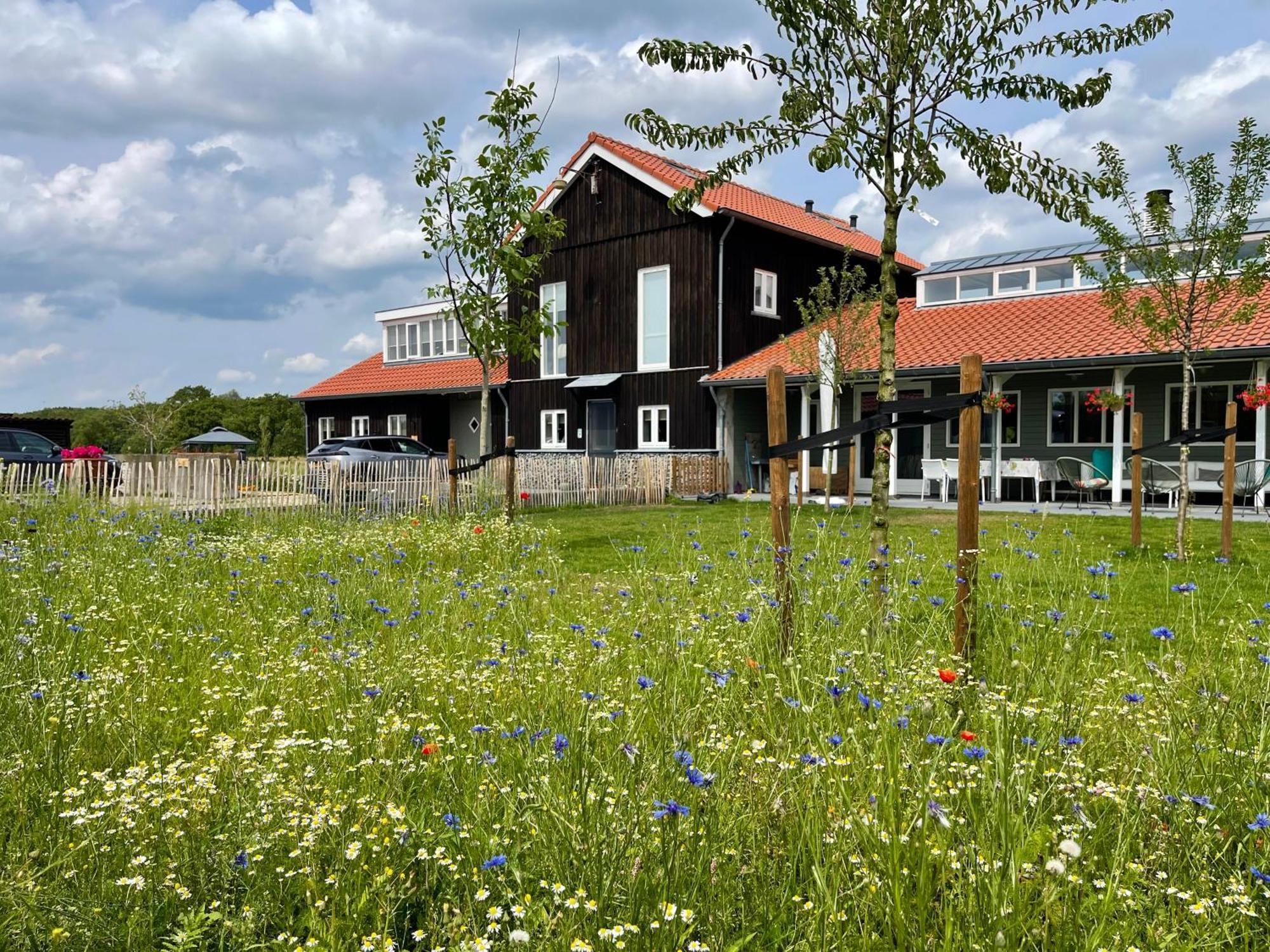 Vakantiehuis Noflik Nijemirdum Exteriér fotografie